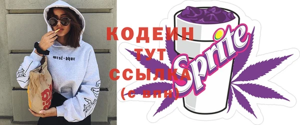 твердый Магас