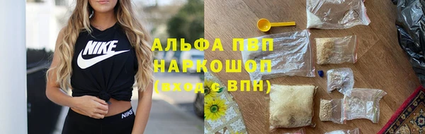 сатива Липки