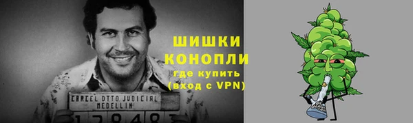 сатива Липки