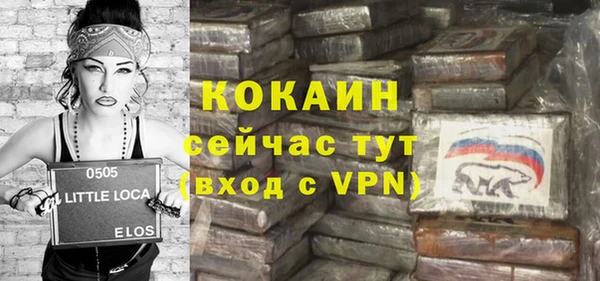 твердый Магас