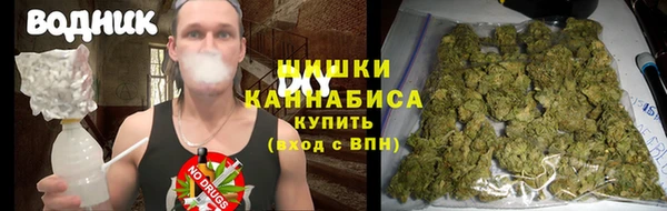 ПСИЛОЦИБИНОВЫЕ ГРИБЫ Магадан