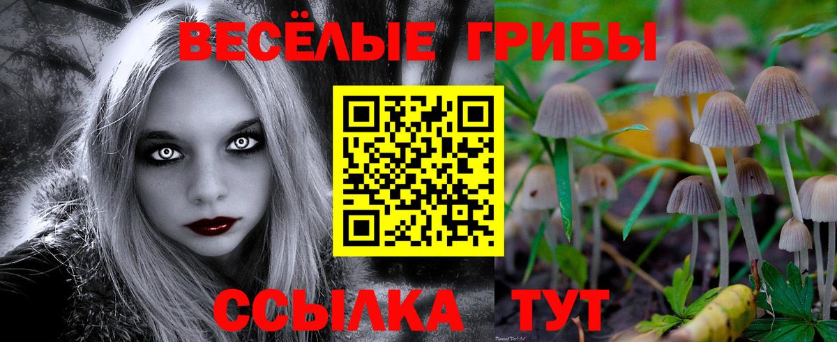 Уварово  Псилоцибиновые грибы MAGIC MUSHROOMS  Вход с VPN 