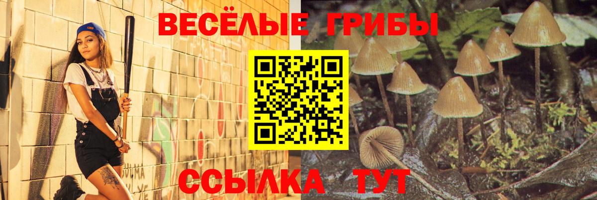 Галлюциногенные грибы Psilocybe Уварово